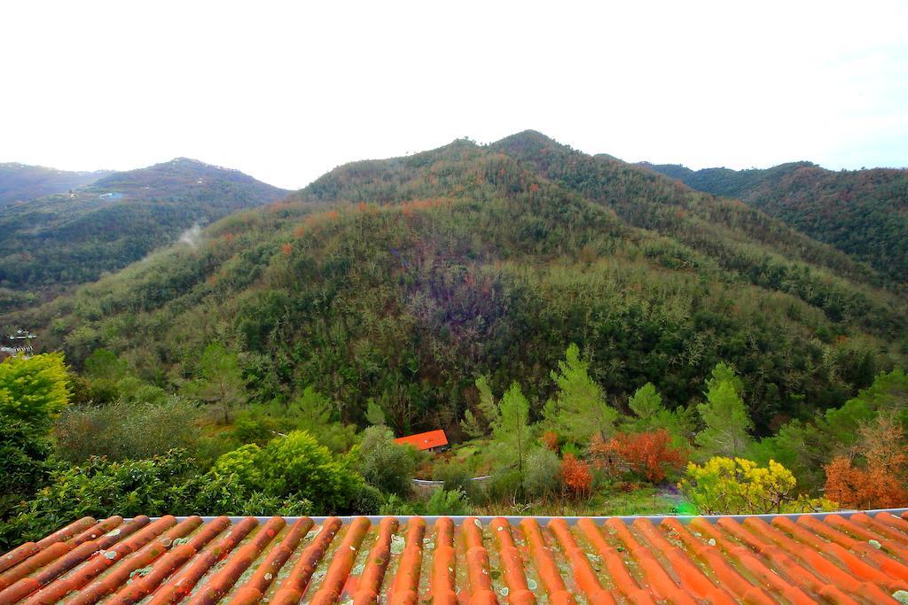 La Favorita Apricale B&B & Ristorante Номер фото